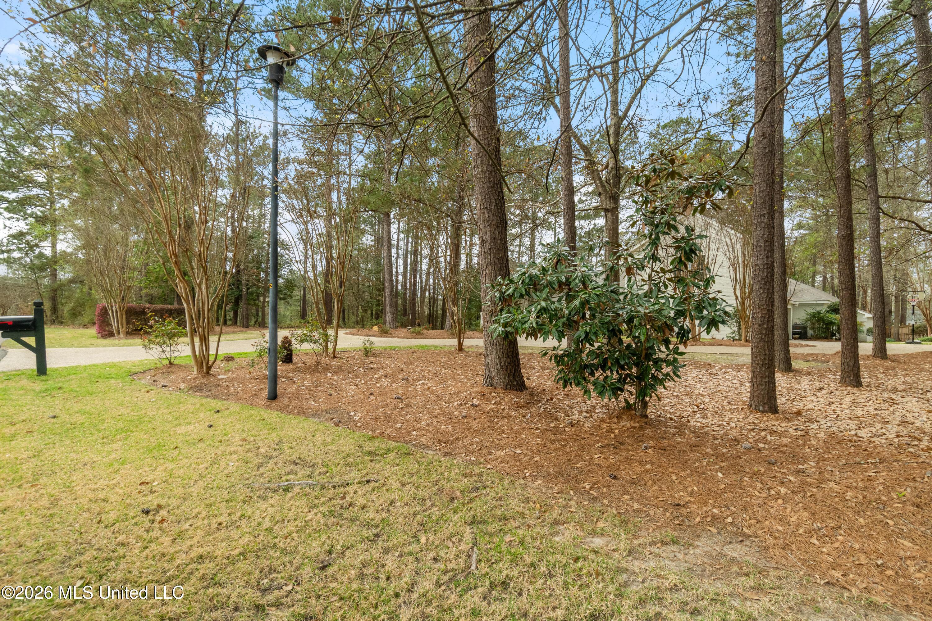 Image 4: 100_W_Canebrake_Blvd-4