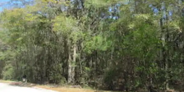 Lot 87-Birch-Drive