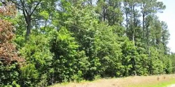 0 Mill Creek Road