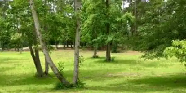 0 Fairway Lane