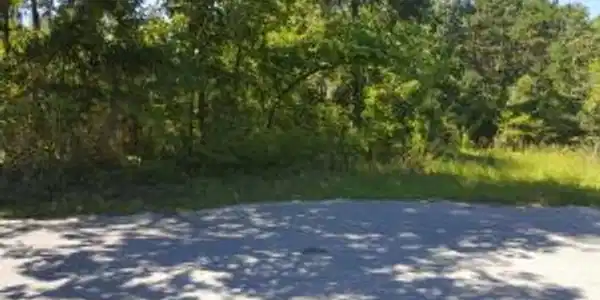 0 Canvasback Drive