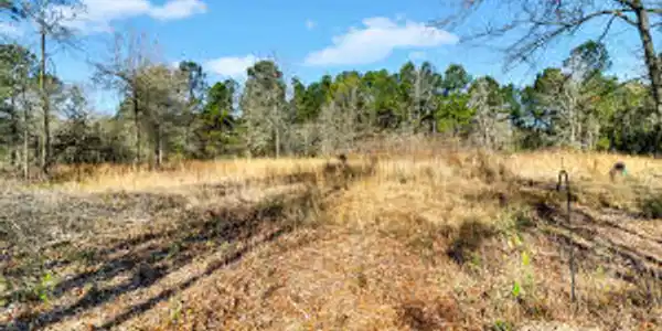 1081 Viper Road