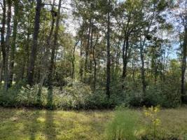 0 Fanny Branch Lane