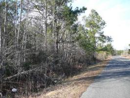 000-Big-Woods-Road