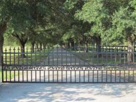701 Truluck Vineyards