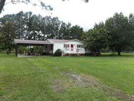 501 Pauline Drive
