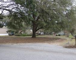 515 Hildebrand Drive