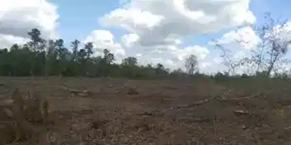 0 Tynah Road