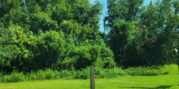Image 2: Land - Old Number Six Hwy
