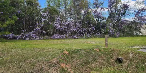 Image 4: Land - Old Number Six Hwy