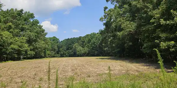 Lot 2A M W Rickenbaker Road