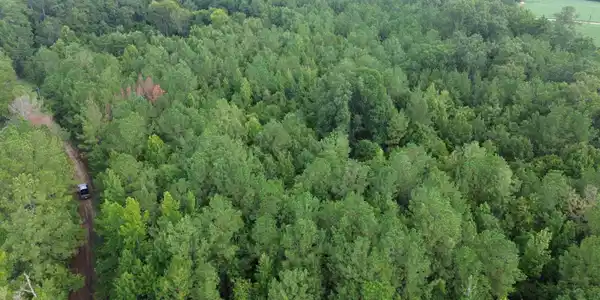 Image 4: DJI_0083
