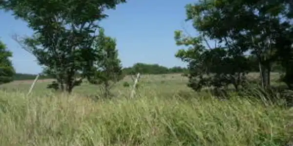 00-Santee-River-Road