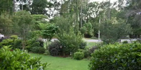 3671 Princess Pond Rd Road