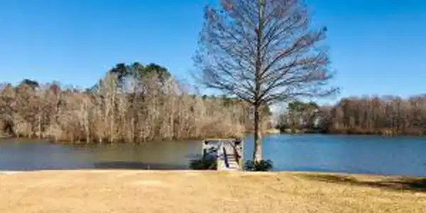 291 Belvedere Drive