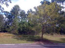 219 Summer Breeze Way