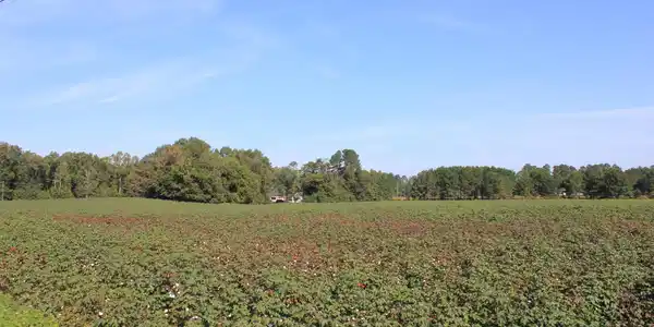 Image 2: IMG_0055