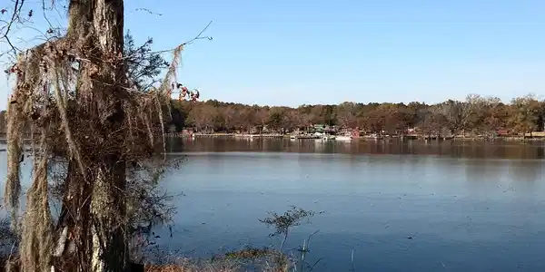1992 Jack'S Creek Road