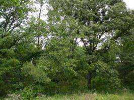 1040 Deer Trail