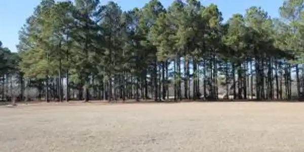 405 Pine Lake Court