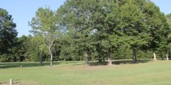 Lot 14 Palmetto Air Plantation