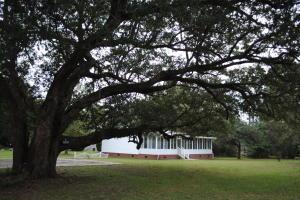 200 Bush Drive