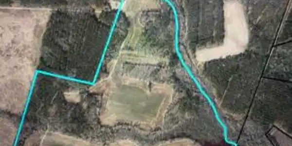Richman Farm Tract(140 Acres)