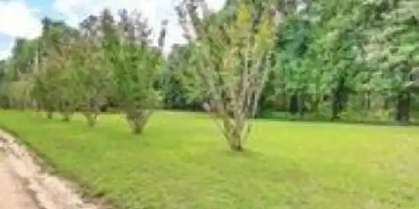 Lot 10 Goslin Pond Road