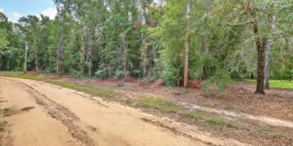 Lot 12 Goslin Pond Road
