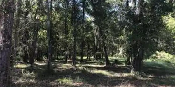 0 Stumphole Road