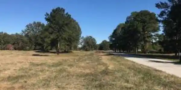 0 Golfing Drive