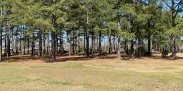 409 Pine Lake Court