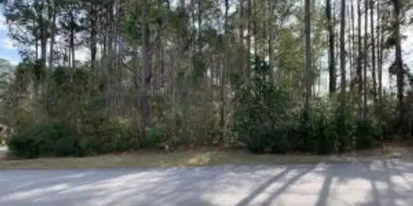 1216 Longleaf Drive