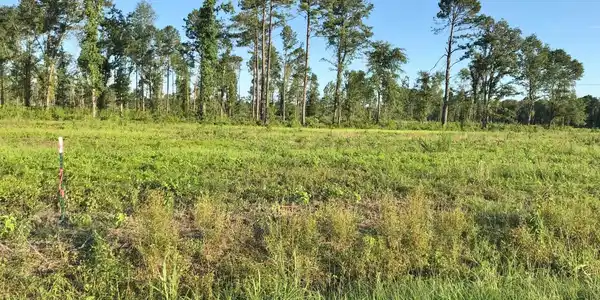 Lot 12 Cranbrook Drive