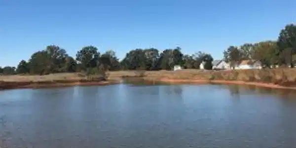 0 Golfing Lane