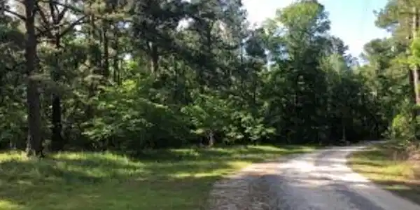 134 Georgiana Drive
