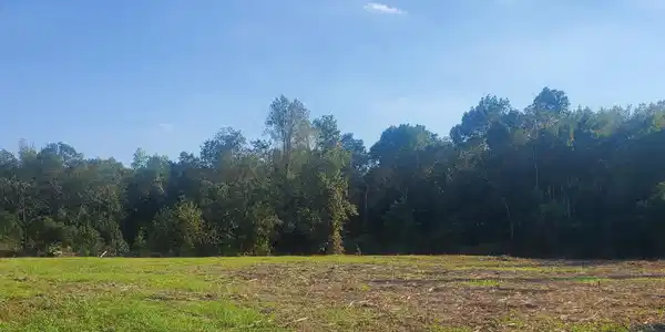00 Hwy 301