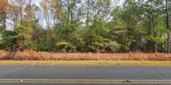 Lot 001 William Brunson Road