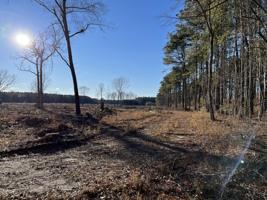 Tbd Woodlawn Lane