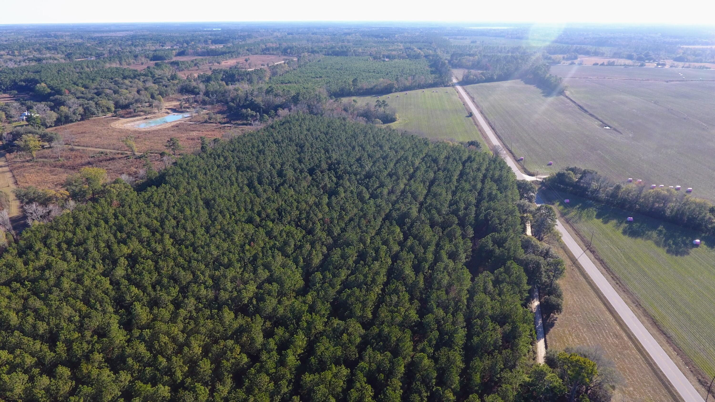 Image 2: DJI_0268