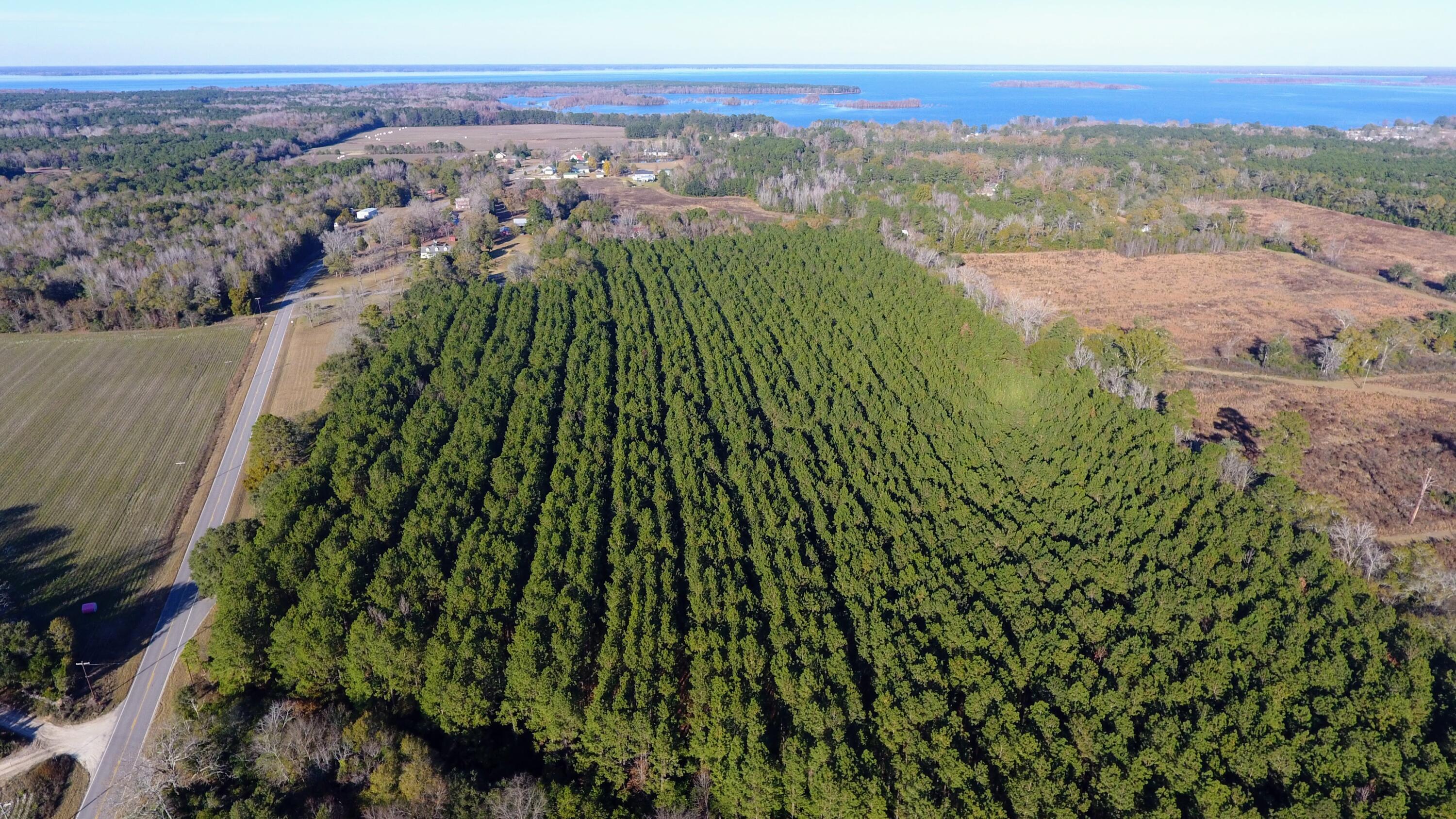 Image 3: DJI_0270