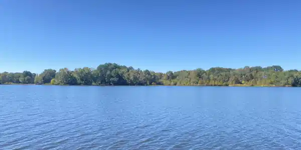 3750 William Brunson Road