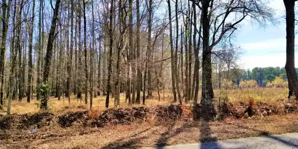 1913 Sam Nexsen Road