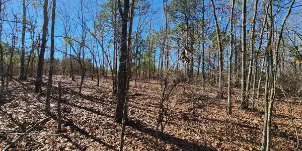 Lot 20 Ridgecrest Court