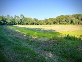 2472 Highway 6