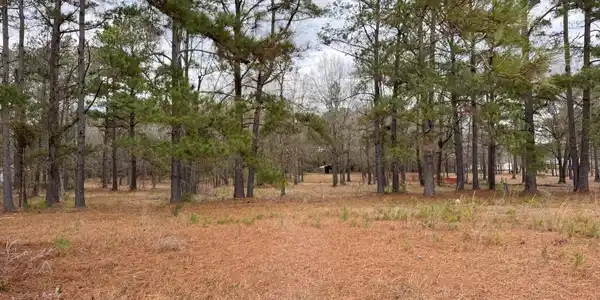 Lake Marion Shores Road