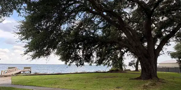 Image 2: rev lake pic