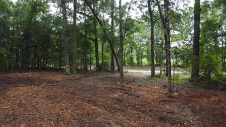 6 Francis Marion Boulevard