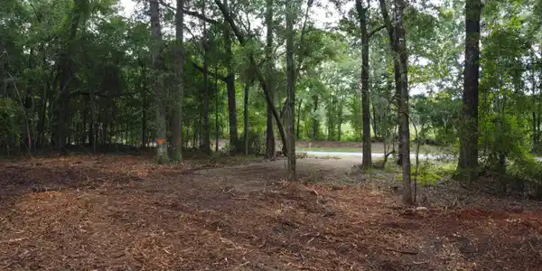6 Francis Marion Boulevard