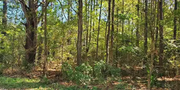 Lot 55 Mabe Drive